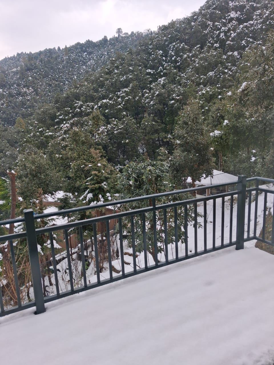 Snow-covered balcony overlooking the forest