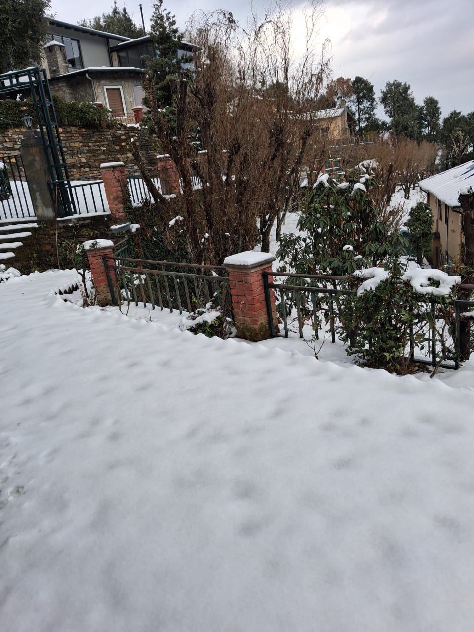 Garden covered in snow