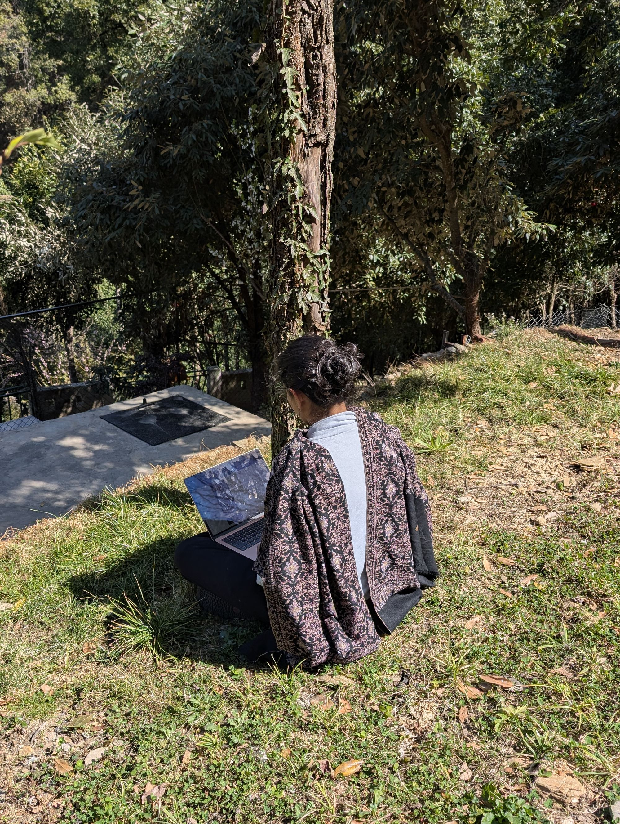 Working outdoors in the forest clearing